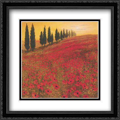 Poppies 28x28 Black Ornate Wood Framed Art Print Poster with Double Matting by Thoms, Steve