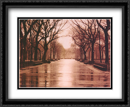Rainy Day, Central Park 32x26 Black Ornate Wood Framed Art Print Poster with Double Matting by Beliakov, Sergei