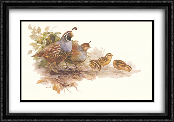 Quail Family 27x18 Black Ornate Wood Framed Art Print Poster with Double Matting by Bennett, Rick