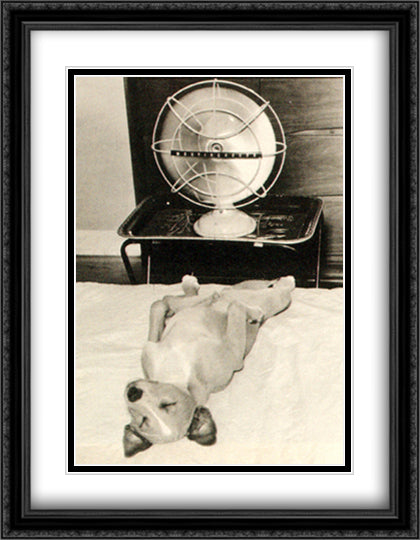 A Dog's Life 26x32 Black Ornate Wood Framed Art Print Poster with Double Matting by Tinney, Jack