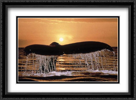 Soleil 28x22 Black Ornate Wood Framed Art Print Poster with Double Matting by Talbot, Bob