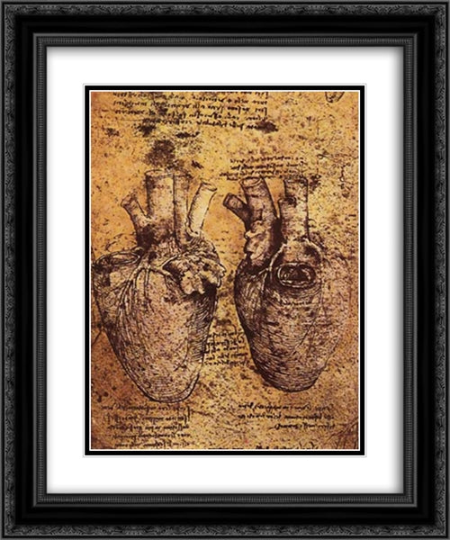 Drawing of the Heart and its Blood Vessels, from the Anatomical Notebooks 20x24 Black Ornate Wood Framed Art Print Poster with Double Matting by da Vinci, Leonardo