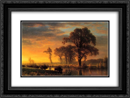 Western Kansas 24x18 Black Ornate Wood Framed Art Print Poster with Double Matting by Bierstadt, Albert