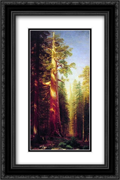 The Great Trees, Mariposa Grove, California 16x24 Black Ornate Wood Framed Art Print Poster with Double Matting by Bierstadt, Albert