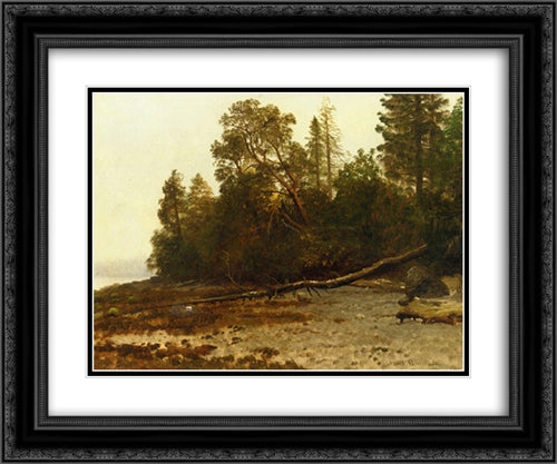 The Fallen Tree 24x20 Black Ornate Wood Framed Art Print Poster with Double Matting by Bierstadt, Albert