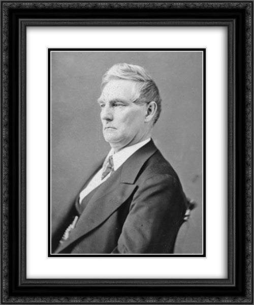 Wheeler, Vice President of W.A. (Hayes Cabinet) 20x24 Black Ornate Wood Framed Art Print Poster with Double Matting by Library of Congress