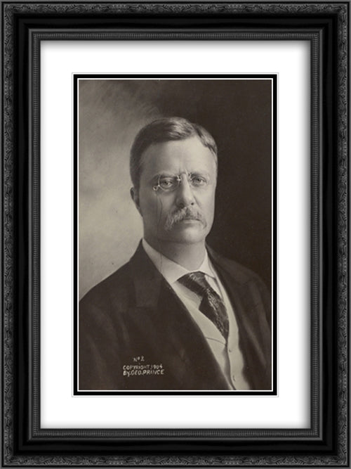 Cabinet bust photograph No. 2, of President Theodore Roosevelt 18x24 Black Ornate Wood Framed Art Print Poster with Double Matting by Library of Congress