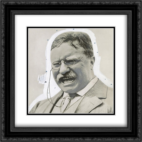 Theodore Roosevelt principles he championed will stand for centuries. 20x20 Black Ornate Wood Framed Art Print Poster with Double Matting by Library of Congress