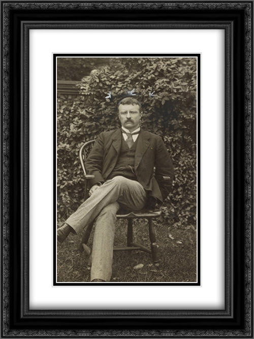 Theodore Roosevelt when he succeeded McKinley. 18x24 Black Ornate Wood Framed Art Print Poster with Double Matting by Library of Congress