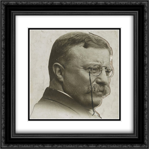 Theodore Roosevelt 20x20 Black Ornate Wood Framed Art Print Poster with Double Matting by Library of Congress