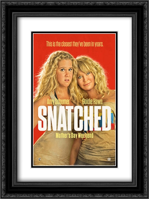 Snatched 18x24 Black Ornate Wood Framed Movie Poster with Double Matting