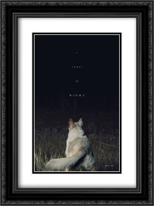 It Comes at Night 18x24 Black Ornate Wood Framed Movie Poster with Double Matting