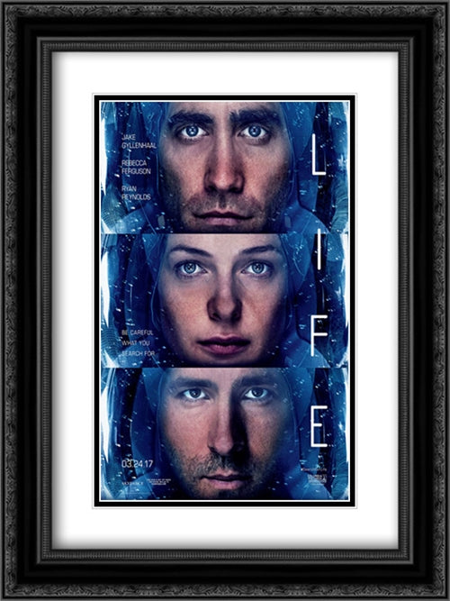 Life 18x24 Black Ornate Wood Framed Movie Poster with Double Matting
