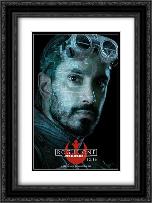 Rogue One: A Star Wars Story 18x24 Black Ornate Wood Framed Movie Poster with Double Matting