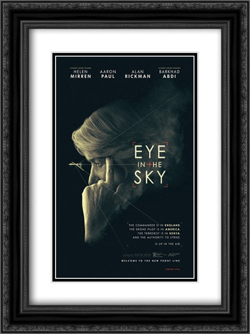 Eye In The Sky 18x24 Black Ornate Wood Framed Movie Poster with Double Matting
