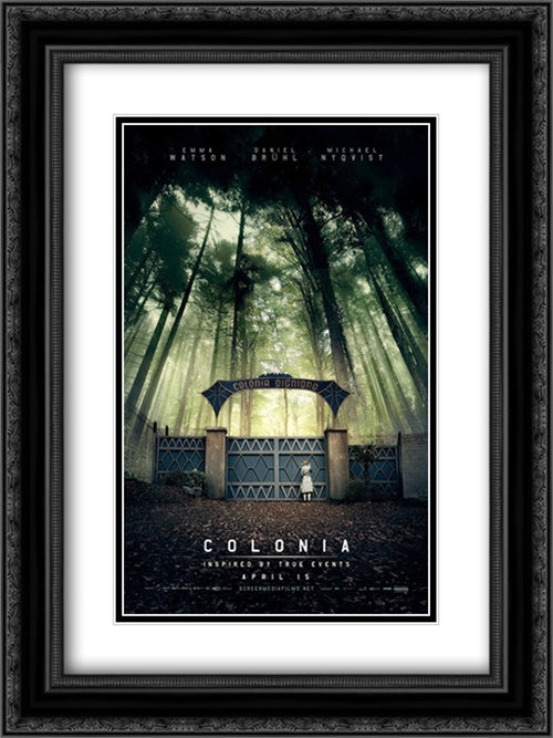 Colonia 18x24 Black Ornate Wood Framed Movie Poster with Double Matting