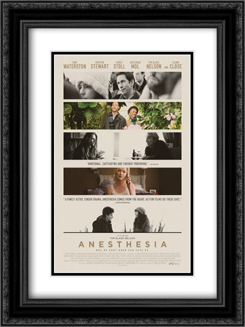 Anesthesia 18x24 Black Ornate Wood Framed Movie Poster with Double Matting