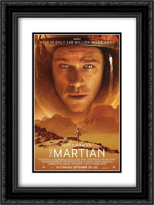 The Martian 18x24 Black Ornate Wood Framed Movie Poster with Double Matting