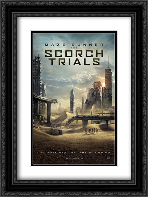 Maze Runner: The Scorch Trials 18x24 Black Ornate Wood Framed Movie Poster with Double Matting