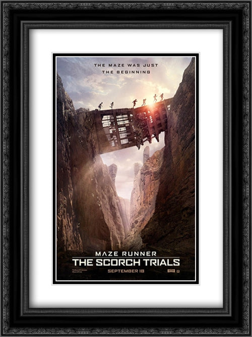 Maze Runner: The Scorch Trials 18x24 Black Ornate Wood Framed Movie Poster with Double Matting