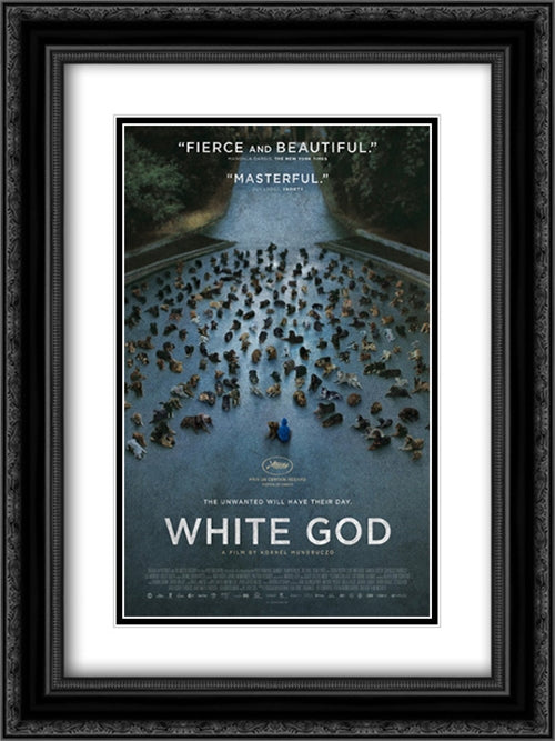 White God 18x24 Black Ornate Wood Framed Movie Poster with Double Matting