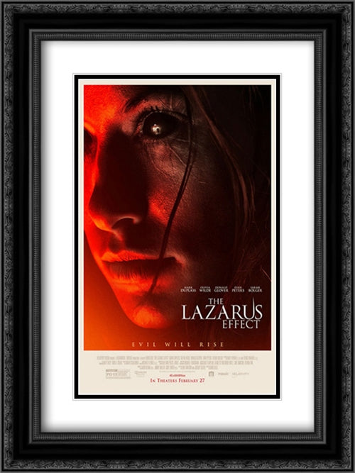 The Lazarus Effect 18x24 Black Ornate Wood Framed Movie Poster with Double Matting
