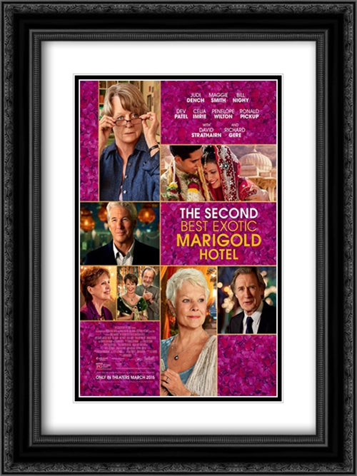The Second Best Exotic Marigold Hotel 18x24 Black Ornate Wood Framed Movie Poster with Double Matting