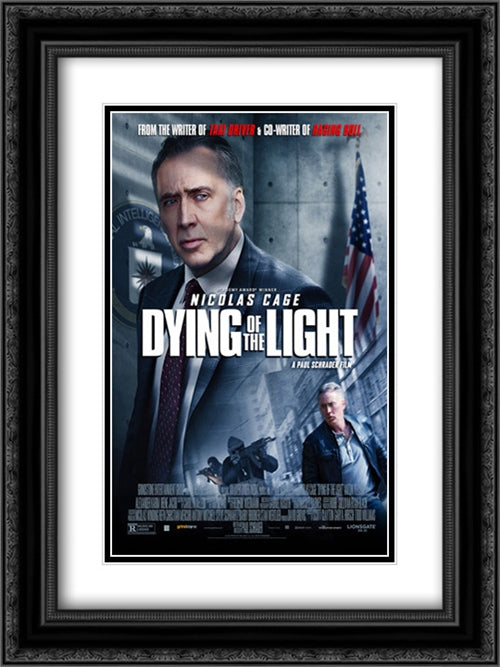 Dying of the Light 18x24 Black Ornate Wood Framed Movie Poster with Double Matting
