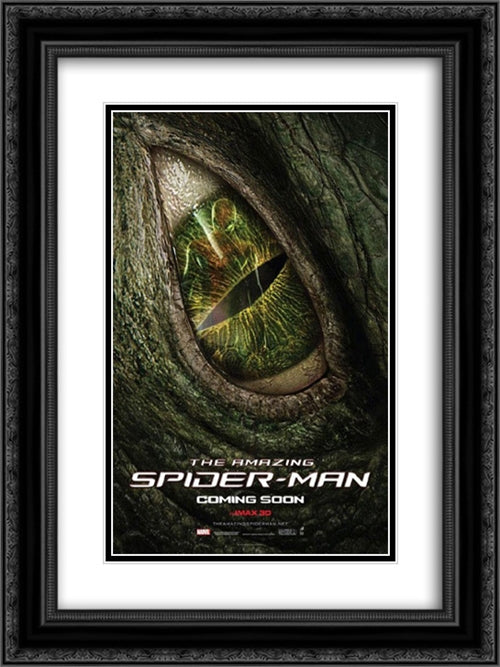 The Amazing Spider-Man 18x24 Black Ornate Wood Framed Movie Poster with Double Matting