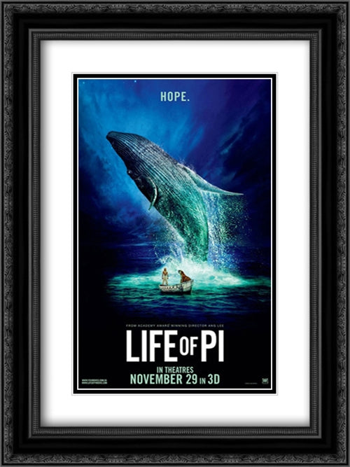 Life of Pi 18x24 Black Ornate Wood Framed Movie Poster with Double Matting