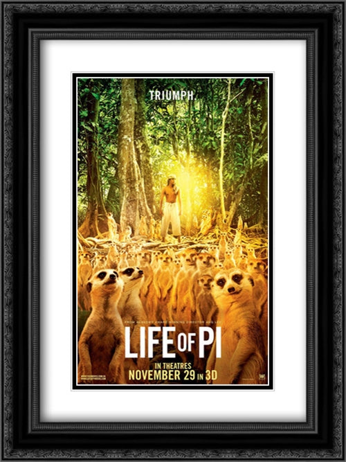 Life of Pi 18x24 Black Ornate Wood Framed Movie Poster with Double Matting
