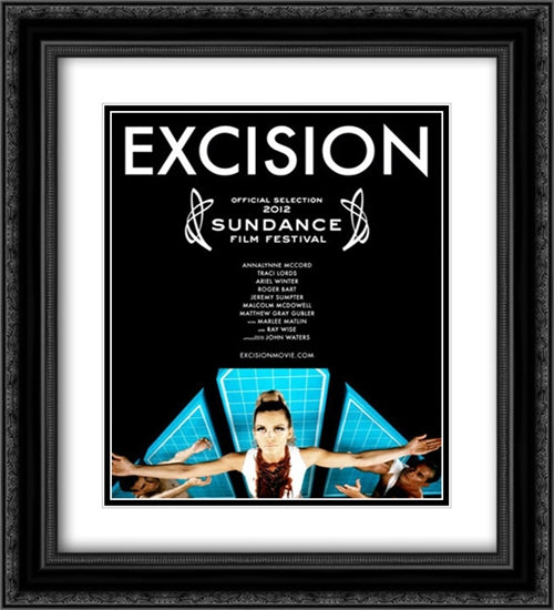 Excision 20x22 Black Ornate Wood Framed Movie Poster with Double Matting