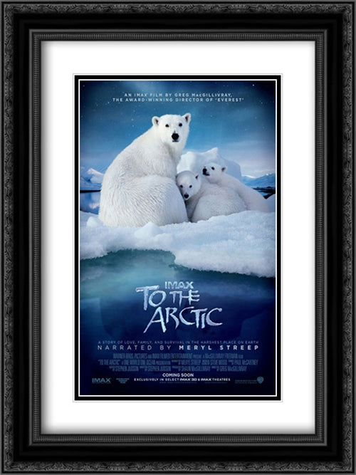 To the Arctic 3D 18x24 Black Ornate Wood Framed Movie Poster with Double Matting