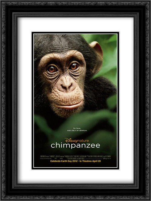 Chimpanzee 18x24 Black Ornate Wood Framed Movie Poster with Double Matting