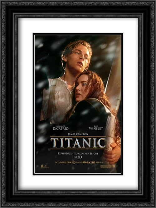 Titanic 3D 18x24 Black Ornate Wood Framed Movie Poster with Double Matting