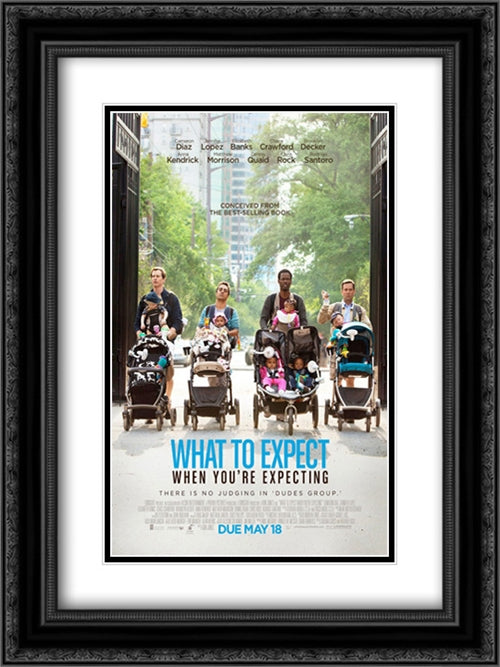 What to Expect When You're Expecting 18x24 Black Ornate Wood Framed Movie Poster with Double Matting