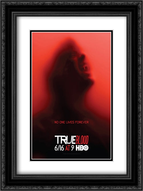 True Blood TV Series Show 18x24 Black Ornate Wood Framed Movie Poster with Double Matting