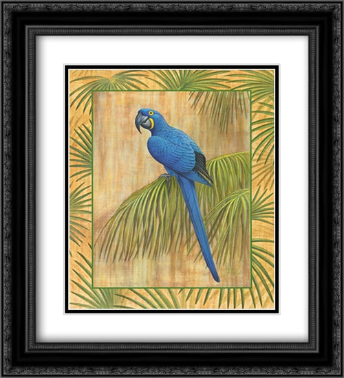 Hyacinth Macaw 2x Matted 20x24 Black Ornate Wood Framed Art Print Poster with Double Matting by Jenkins, Ron