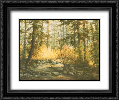 Serene Woods 2x Matted 20x24 Black Ornate Wood Framed Art Print Poster with Double Matting by Durgin, Pat