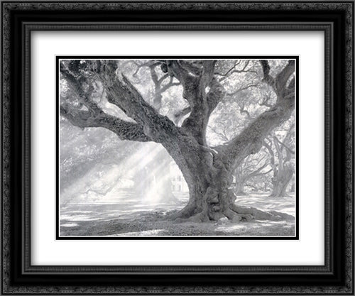 Andrew Oak, Afternoon Light 20x16 Black Ornate Wood Framed Art Print Poster with Double Matting by Guion, William
