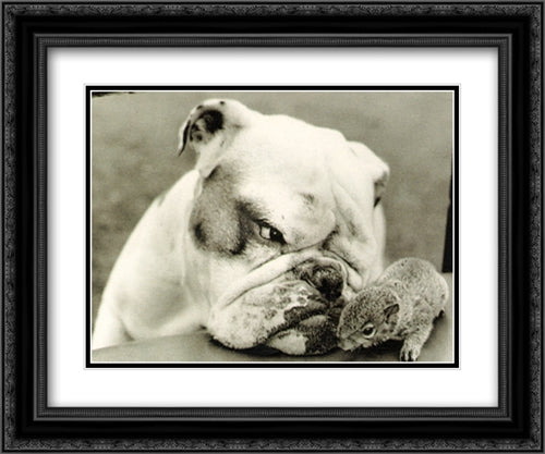 Bulldog Watch 2x Matted 24x20 Black Ornate Wood Framed Art Print Poster with Double Matting by Drysdale, John
