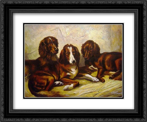 Shot and His Friends - Three Irish Red and White Setters 24x19 Black Ornate Wood Framed Art Print Poster with Double Matting by Emms, John
