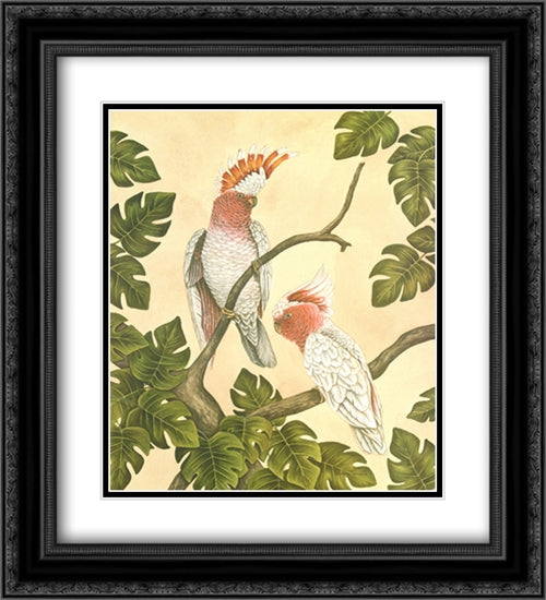 White Mitchell Cockatoos 2x Matted 20x24 Black Ornate Wood Framed Art Print Poster with Double Matting by Krumel, Dianne