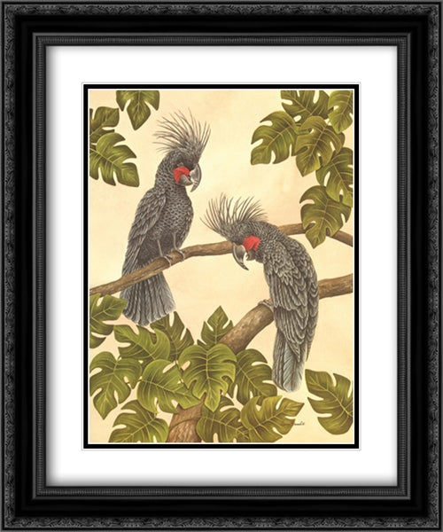 Black Palm Cockatoos 2x Matted 20x24 Black Ornate Wood Framed Art Print Poster with Double Matting by Krumel, Dianne