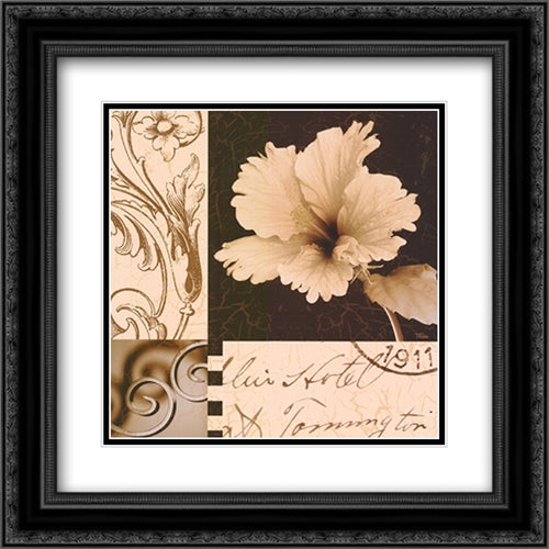Hibiscus Blossom II 16x16 Black Ornate Wood Framed Art Print Poster with Double Matting by Craven, Katrina