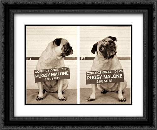 Pugsy Malone 2x Matted 20x24 Black Ornate Wood Framed Art Print Poster with Double Matting by Dratfield, Jim