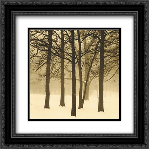 Palos Park 2x Matted 20x20 Black Ornate Wood Framed Art Print Poster with Double Matting by Kozal, Paul