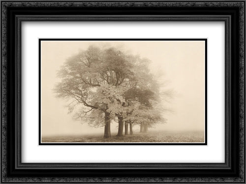 Harmony in Fog 2x Matted 24x20 Black Ornate Wood Framed Art Print Poster with Double Matting by Svibilsky