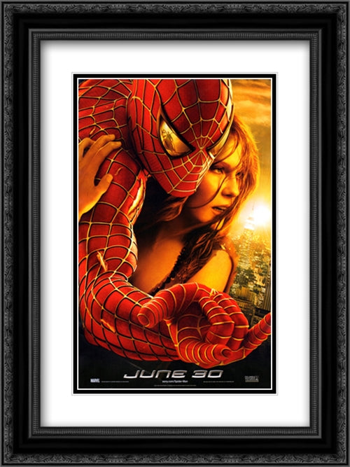 Spider-Man 2 18x24 Black Ornate Wood Framed Movie Poster with Double Matting