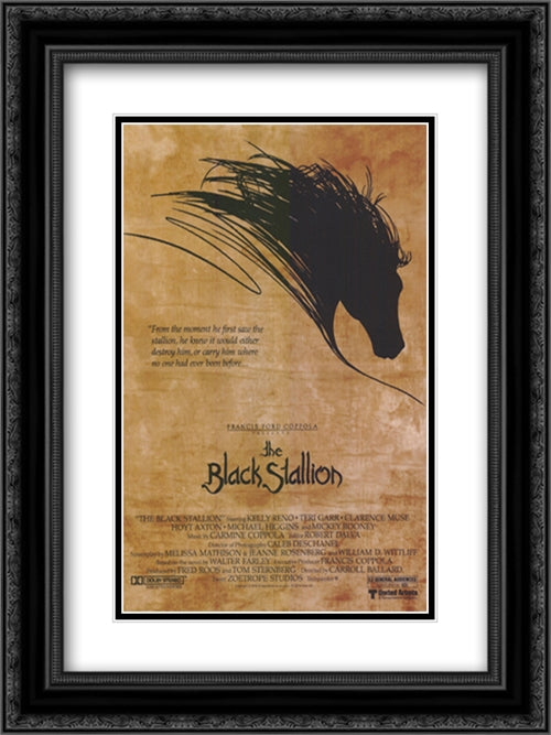 The Black Stallion 18x24 Black Ornate Wood Framed Movie Poster with Double Matting